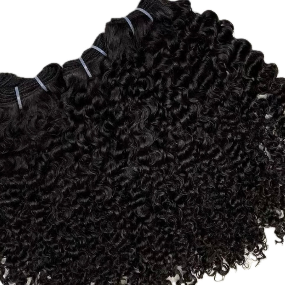 Premium Collection - Burmese Curl Bundle Deal